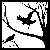 :icondesertblackbird:
