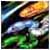 :icondesertgecko: