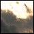 :icondesertmonkeymanaz: