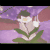 :iconDesertScar: