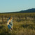 :icondesertshooter: