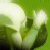 :icondesiderium7: