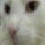 :icondesignated-drunk: