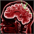 :icondesigner-brain: