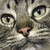 :icondesigngretta: