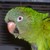 :icondesignpro3:
