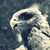 :icondesignradar: