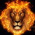 :icondesignsalex: