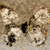 :icondesignsbybette:
