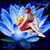 :icondesignsbydiana: