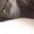 :icondesiresundisclosed: