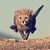 :icondeskom: