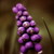 :icondesktopconditioner: