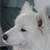 :icondesktopheap: