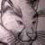 :icondesmontais: