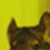 :icondespondently: