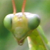 :icondest581: