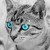 :icondestinybel: