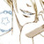 :icondestinycain: