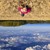 :icondestinyshining: