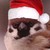 :icondestka: