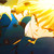 :icondestroyerfield: