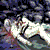 :icondestructivesorceress: