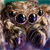 :icondesuspiderplz: