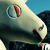 :icondetectivezito: