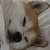 :icondetektiv-conan: