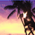 :icondev-j: