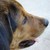 :icondev-null-813: