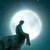 :icondev211: