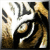 :iconDevan-Riordan: