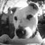 :icondevastating-wall: