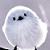 :icondevbneo: