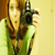 :icondevdevie: