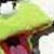 :icondeverasotario:
