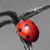 :iconDeviant-Click: