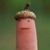 :icondeviant-nor: