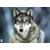 :icondeviant-shadow-wolf: