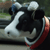 :icondeviantbrat: