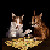:icondeviantfolower: