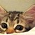 :icondeviantino: