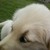 :icondeviantmate96: