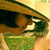 :icondeviantmuffi: