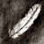 :icondeviantmuse: