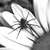 :icondeviantnameunknown: