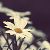 :icondeviappareil: