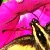 :icondevil-can-dance: